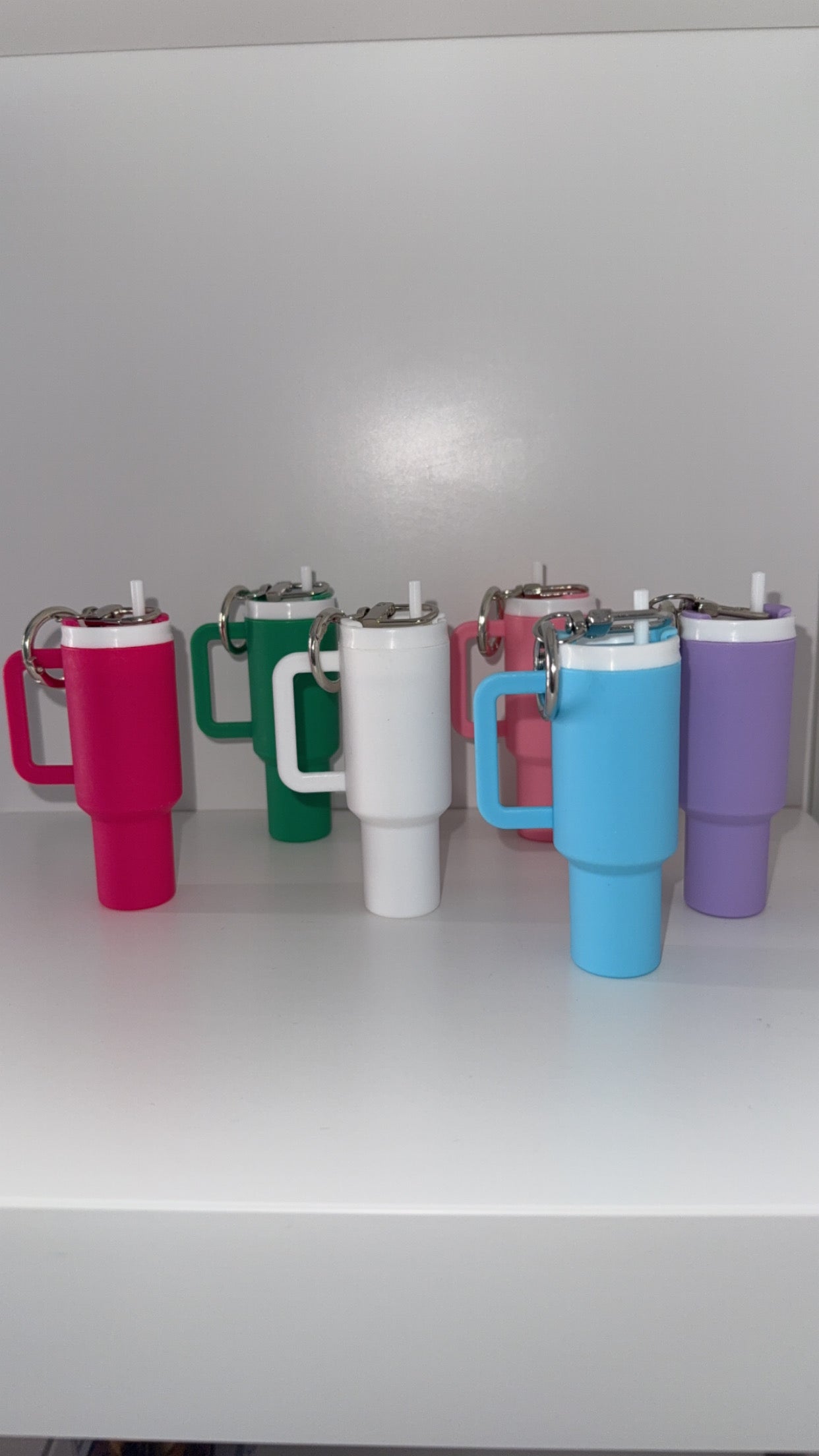 Mini Plastic Stanley Keyring